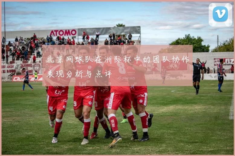 北京网球队在洲际杯中的团队协作表现分析与点评