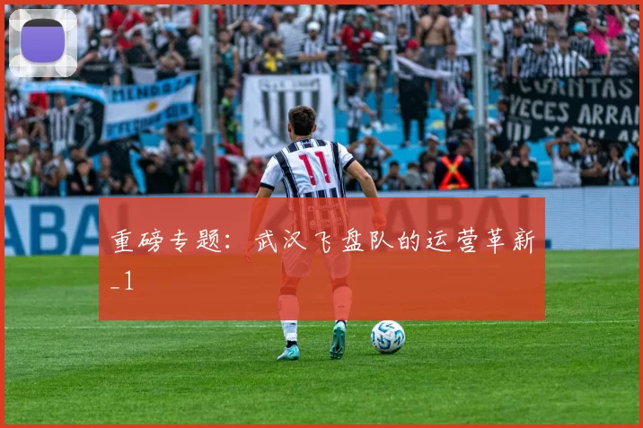 重磅专题：武汉飞盘队的运营革新_1