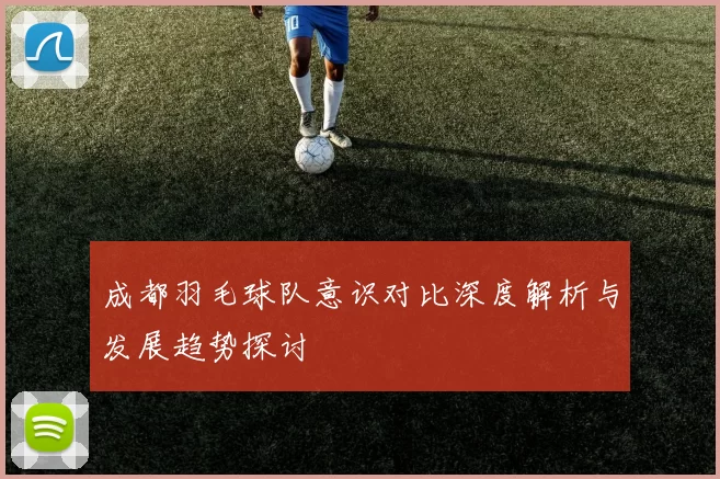 成都羽毛球队意识对比深度解析与发展趋势探讨