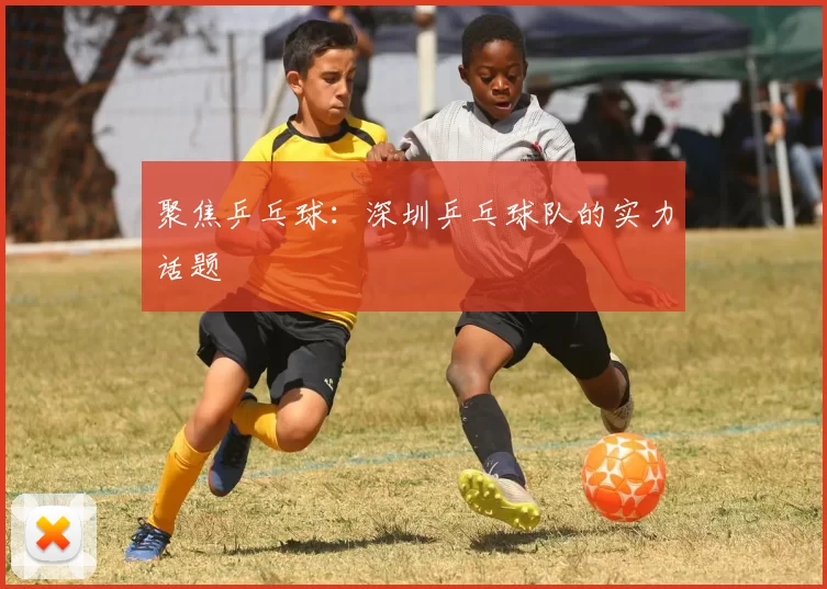聚焦乒乓球：深圳乒乓球队的实力话题
