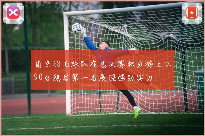 南京羽毛球队在总决赛积分榜上以90分稳居第一名展现强劲实力