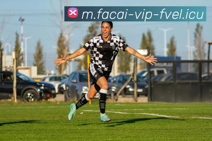 乐鱼体育发展历程